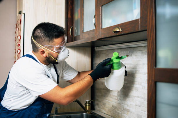 Best Pest Removal Services  in Clayton, GA