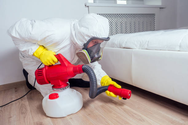 Best Pest Control for Restaurants  in Clayton, GA