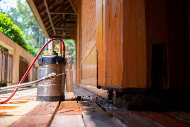 Best Ant Control Services  in Clayton, GA