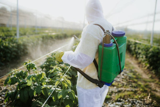 Best Flea Control Services  in Clayton, GA